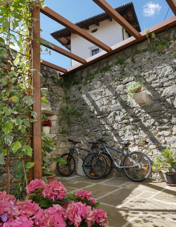 Apartmaji In Sobe Odlicna Hisa Štanjel エクステリア 写真